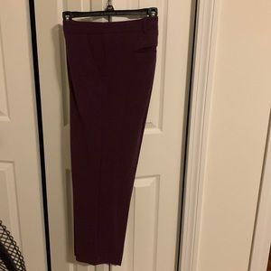 Wine colored dress pant